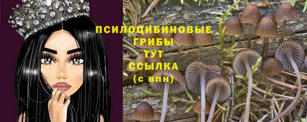 ПСИЛОЦИБИНОВЫЕ ГРИБЫ Россошь